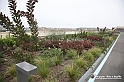 VBS_9645 - Parco Pensile Lingotto